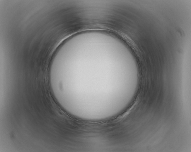 X0000114001457200910021021