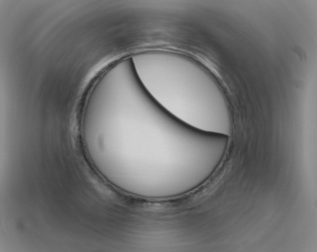 X0000114001458200910021021