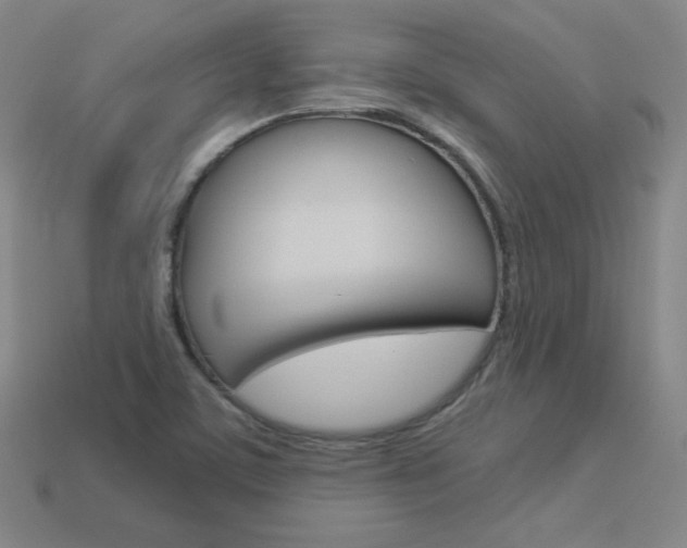 X0000114001459200910021021