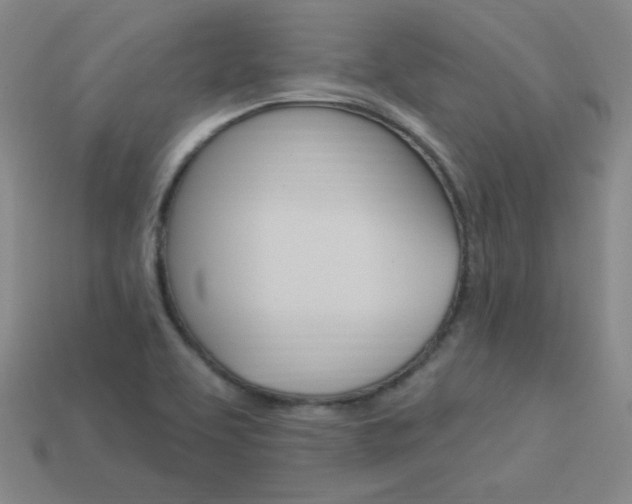 X0000114001463200910021020