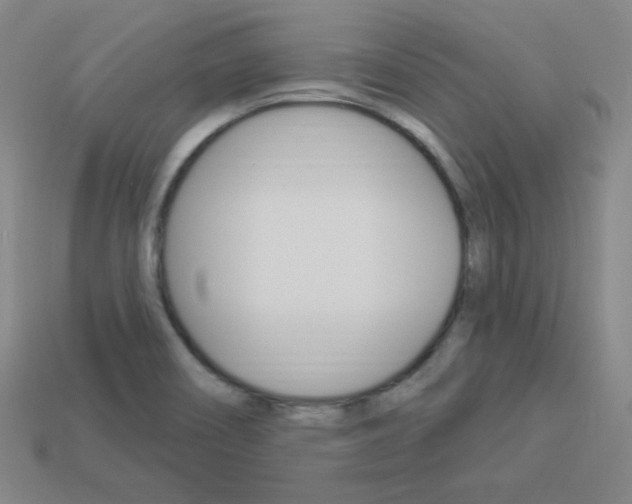 X0000114001466200910021020