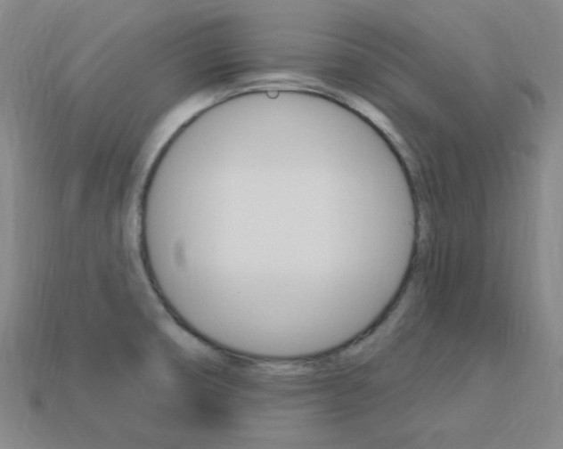 X0000114001474200910021020