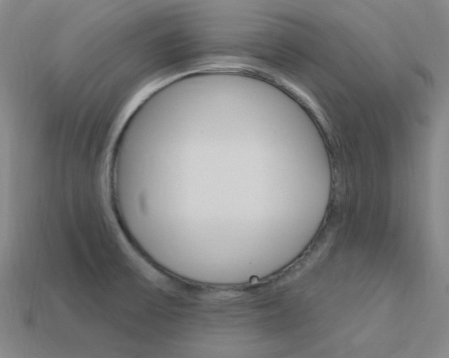 X0000114001475200910021020