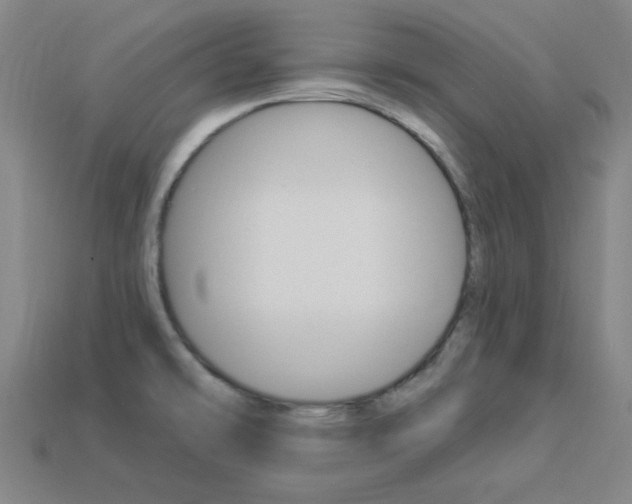 X0000114001478200910021020