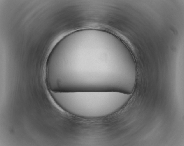X0000114001479200910021020
