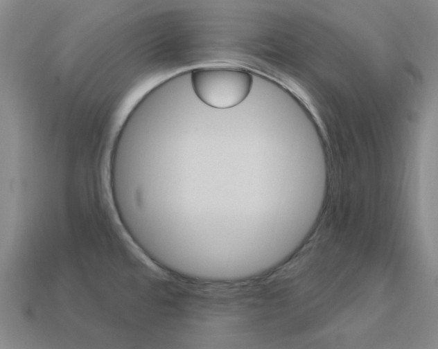 X0000114001480200910021020