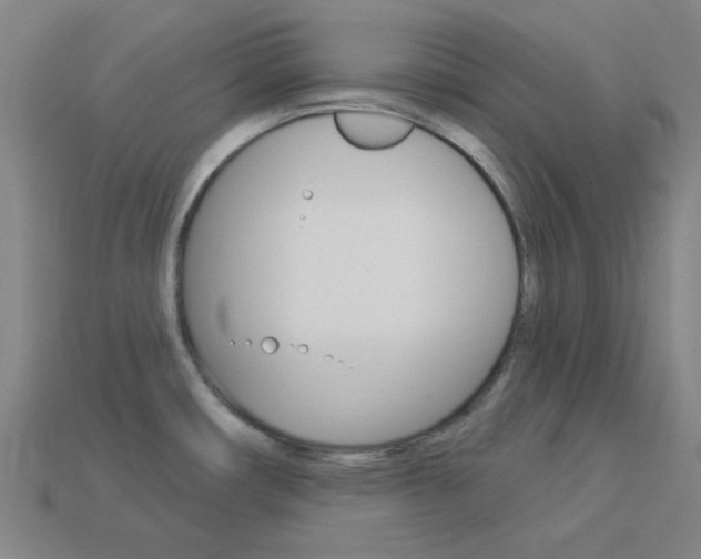 X0000114001482200910021020
