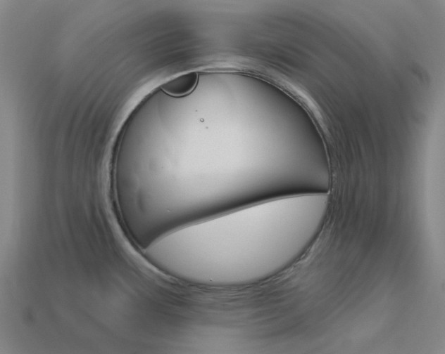 X0000114001483200910021020