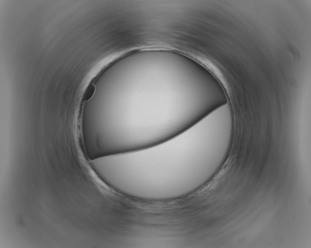X0000114001485200910021020
