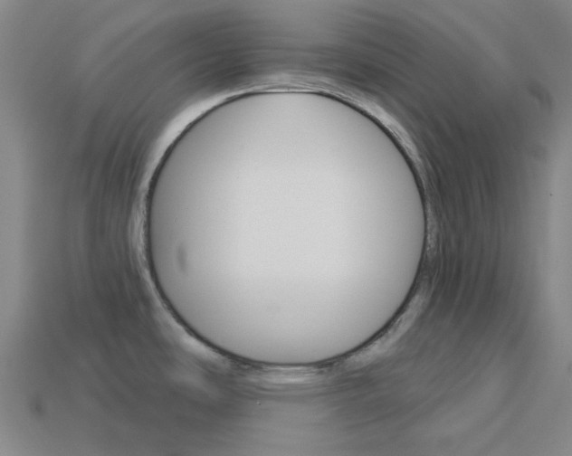 X0000114001486200910021020