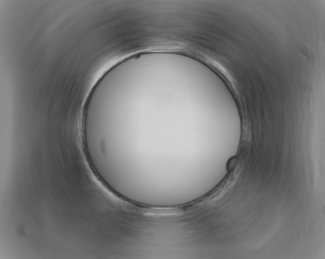 X0000114001487200910021020