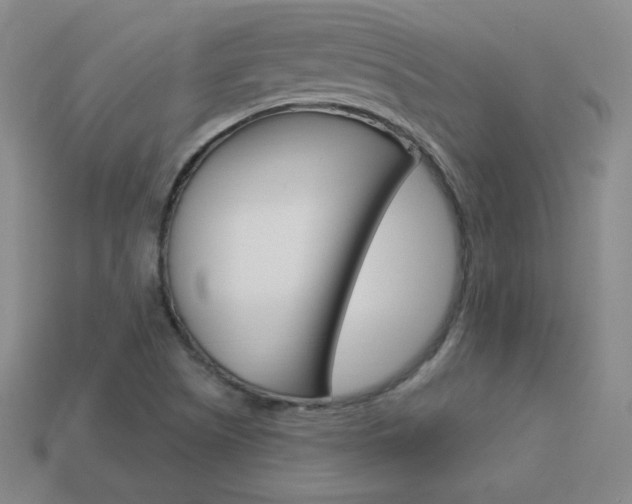 X0000114001505200910021020