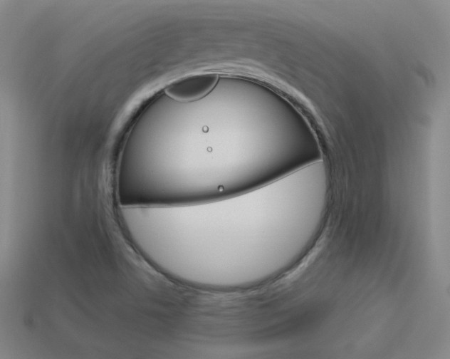 X0000114001506200910021020
