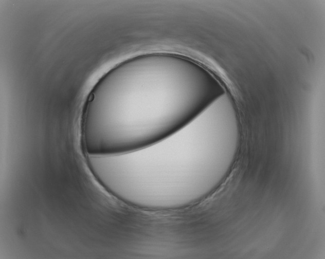 X0000114001512200910021020