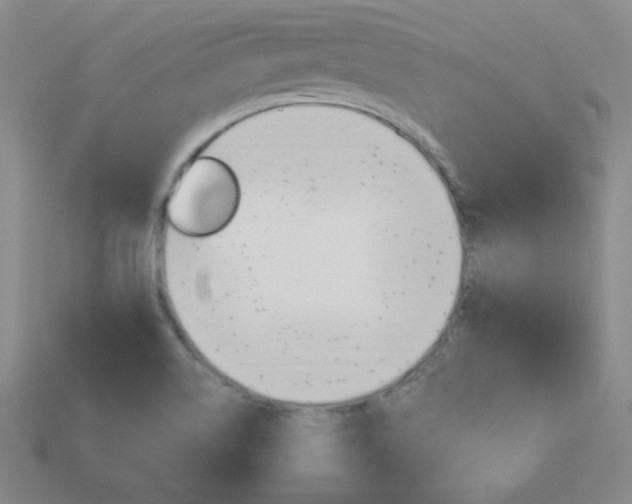 X0000114001514200910021020