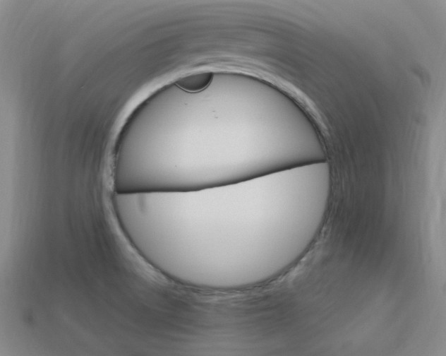 X0000114001522200910021020