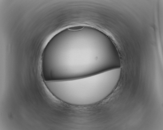 X0000114001524200910021020