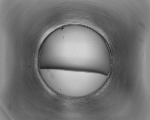 X0000114001525200910021020
