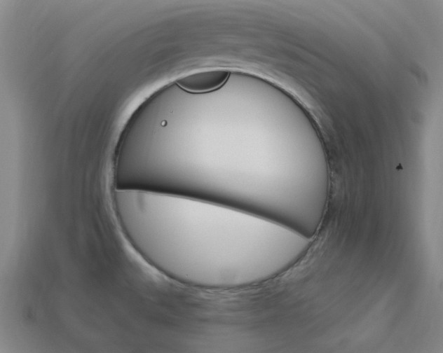 X0000114001527200910021020