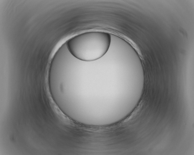 X0000114001530200910021020