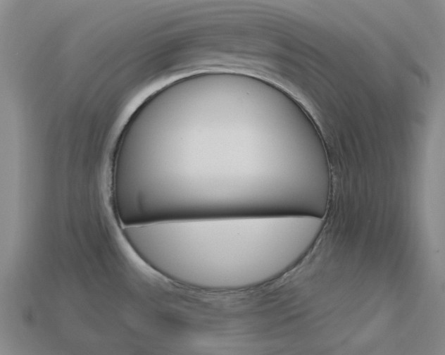 X0000114001531200910021020