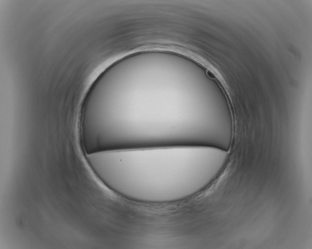 X0000114001533200910021020