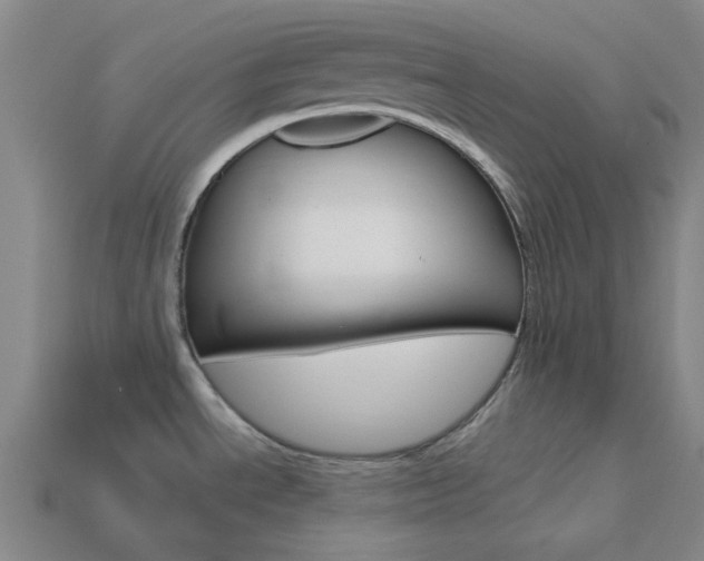 X0000114001534200910021020