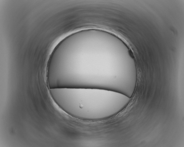 X0000114001535200910021020
