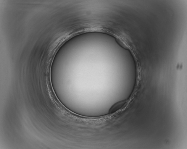 X0000114000001200910021327