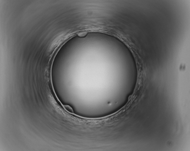 X0000114000002200910021327