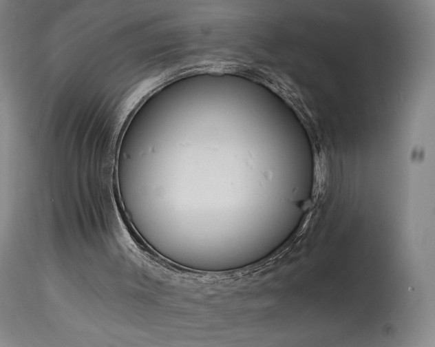 X0000114000003200910021327