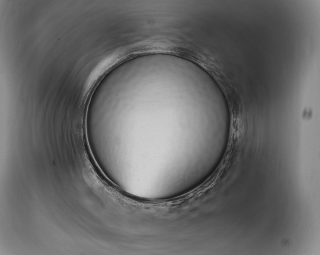 X0000114000004200910021327