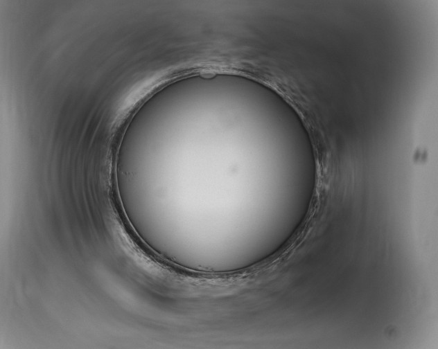 X0000114000005200910021327