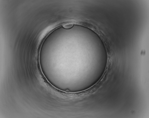 X0000114000006200910021327