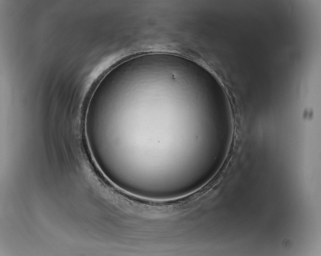 X0000114000008200910021327