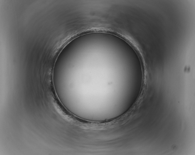 X0000114000009200910021327