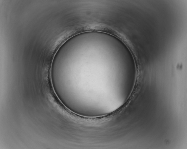 X0000114000010200910021327