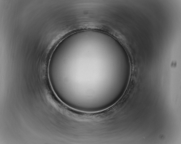 X0000114000012200910021327
