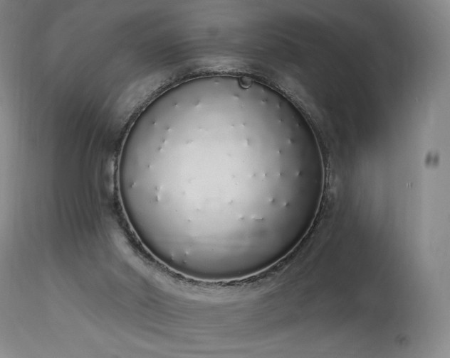 X0000114000014200910021327