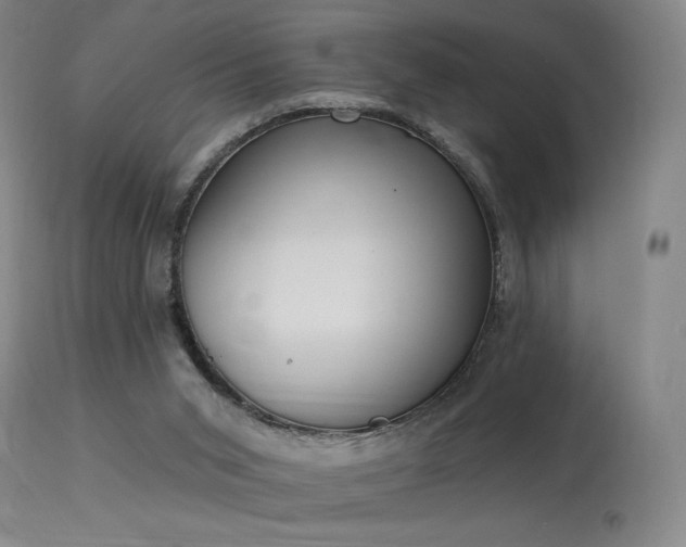 X0000114000015200910021327