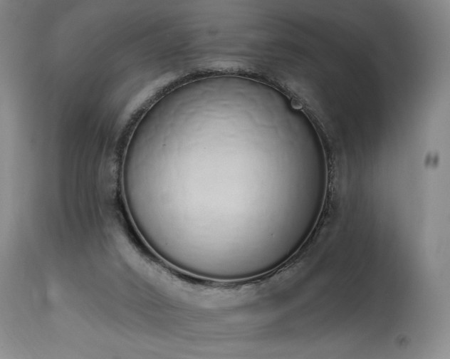 X0000114000016200910021327