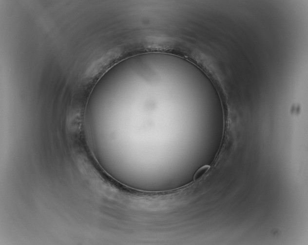 X0000114000017200910021327