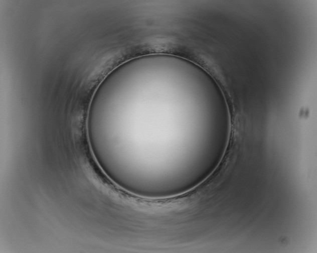 X0000114000018200910021327