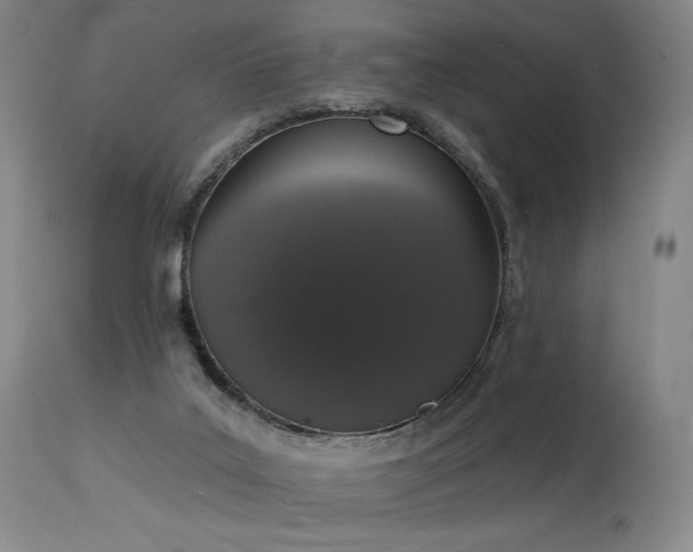 X0000114000019200910021327