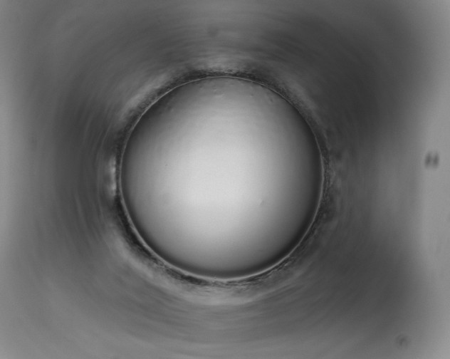 X0000114000020200910021327