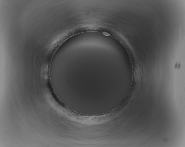 X0000114000023200910021327
