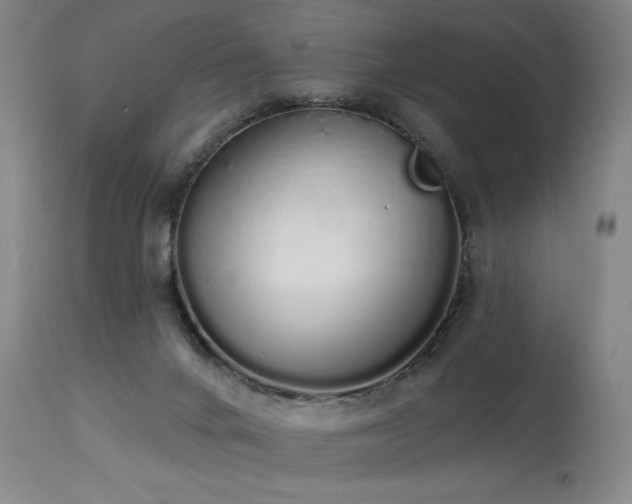 X0000114000024200910021327
