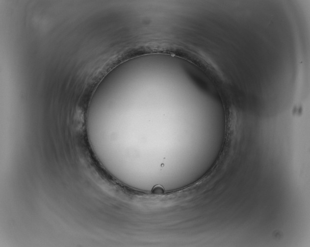 X0000114000025200910021327