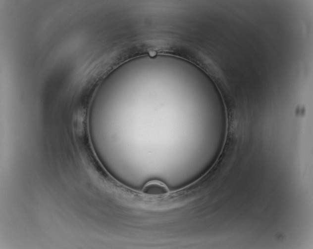 X0000114000026200910021327