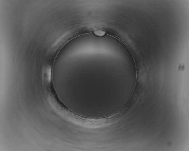 X0000114000027200910021327